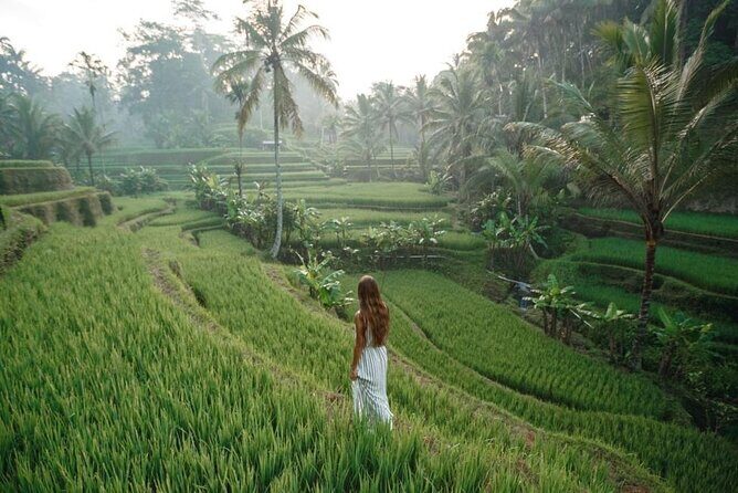 Bali 2 Days All-Inclusive Nusa Penida and Ubud Package - Exploring the Itinerary