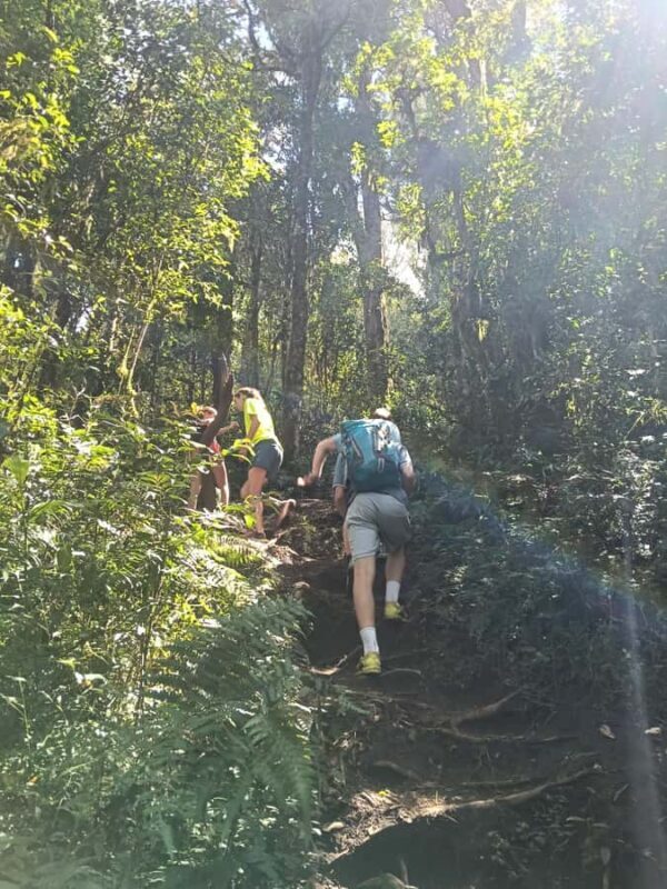 Bali: 2 Nights Camp, Mt Lesung, Waterfalls & Mayong Village - Who Should Consider This Experience?