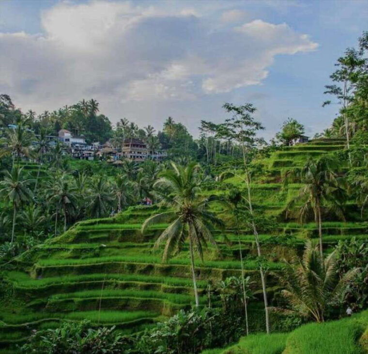 bali-3-best-waterfall-and-tegalalang-rice-terrace