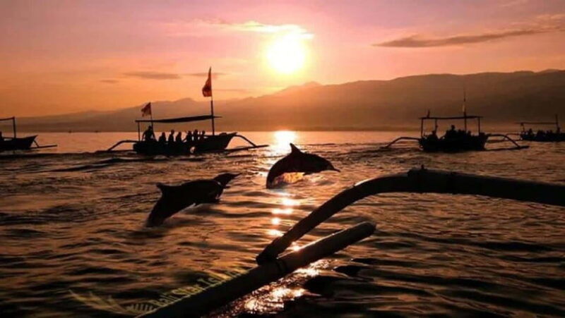 bali-3-day-north-bali-tour-with-dolphin-watching