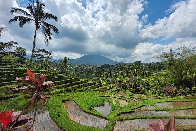 Bali 4WD Adventure WakaLand UNESCO Jatiluwih Trip in Bali Outback - Insights from Reviews