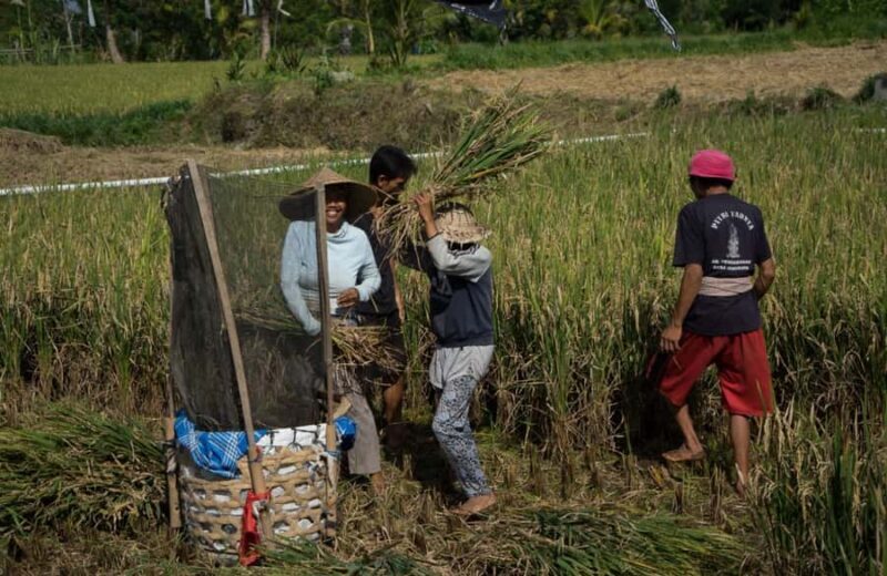 Bali: 6-Hour UNESCO Sites Cultural Walking Tour - Key Points