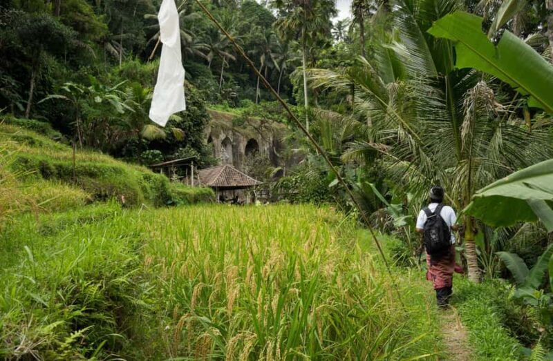 Bali: 6-Hour UNESCO Sites Cultural Walking Tour - Authentic Experiences That Connect You to Bali