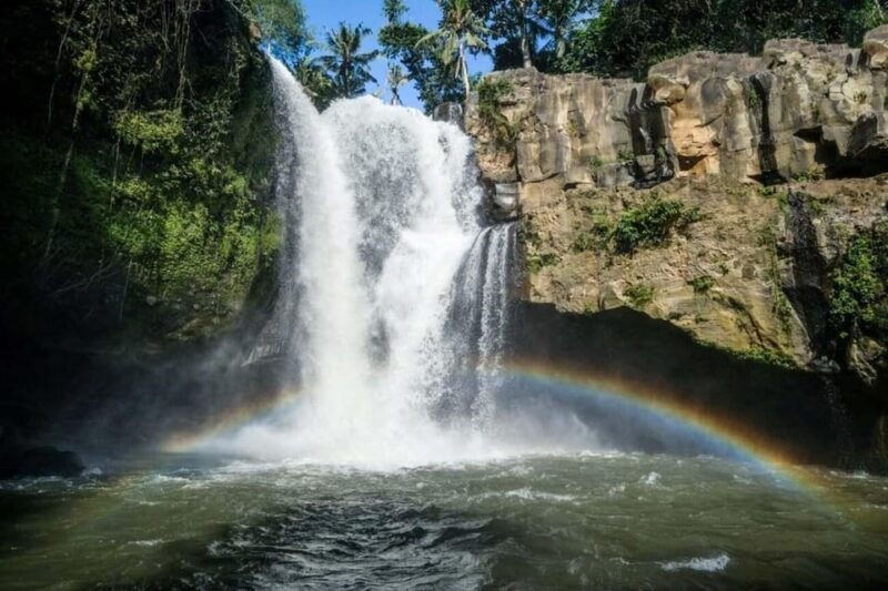 bali-6-hours-customize-ubud-city-tour
