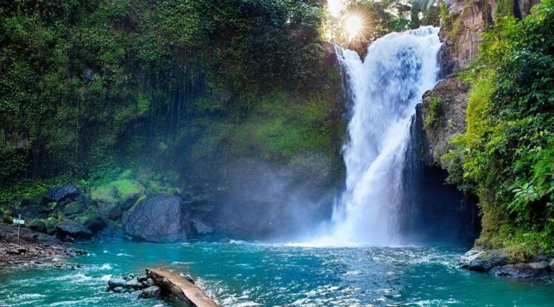 bali-6-hours-customize-ubud-city-tour
