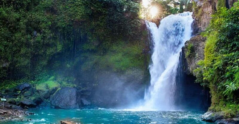 bali-6-hours-customize-ubud-city-tour