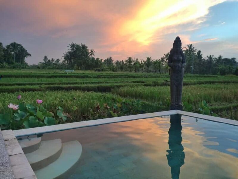 Bali: 7 Day Solo Travelers Yoga Retreat In Ubud - Who Should Consider This Experience?