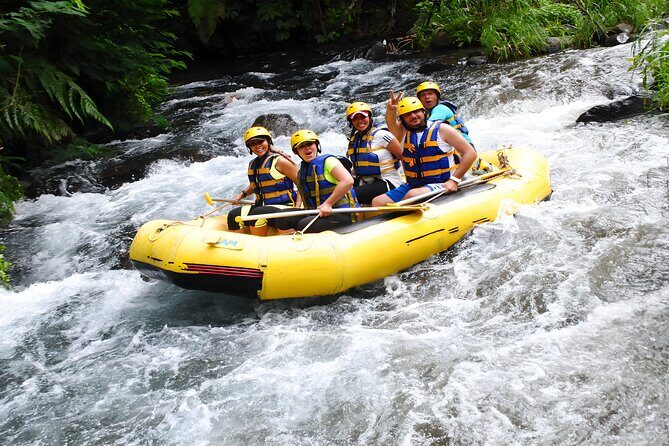 Bali Activity: Telaga Waja White Water River Rafting - Who Is This Tour Best For?