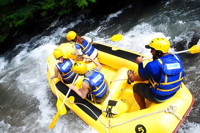 Bali Activity: Telaga Waja White Water River Rafting - Final Thoughts