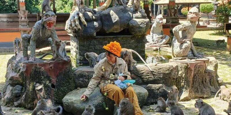 bali-adrenaline-fun-youtuber-feeding-monkey-on-your-body