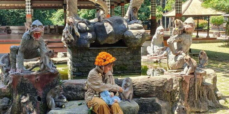 bali-adrenaline-fun-youtuber-feeding-monkey-on-your-body