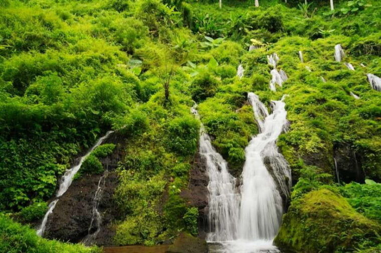 bali-agricultural-adventure-private-tour