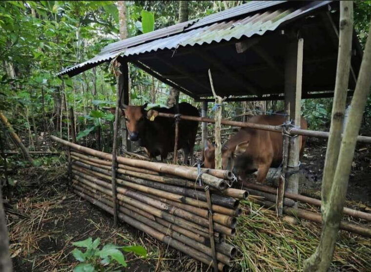 bali-agricultural-adventure-private-tour