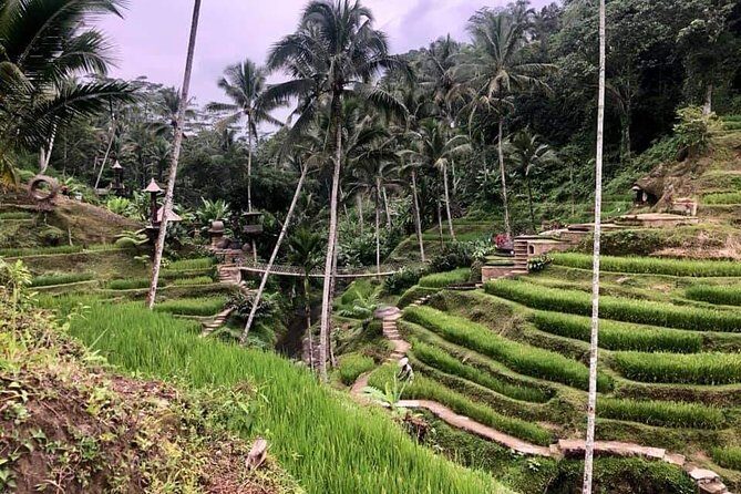 Bali : All inclusive Customize Trips - Authentic Insights from Past Travelers