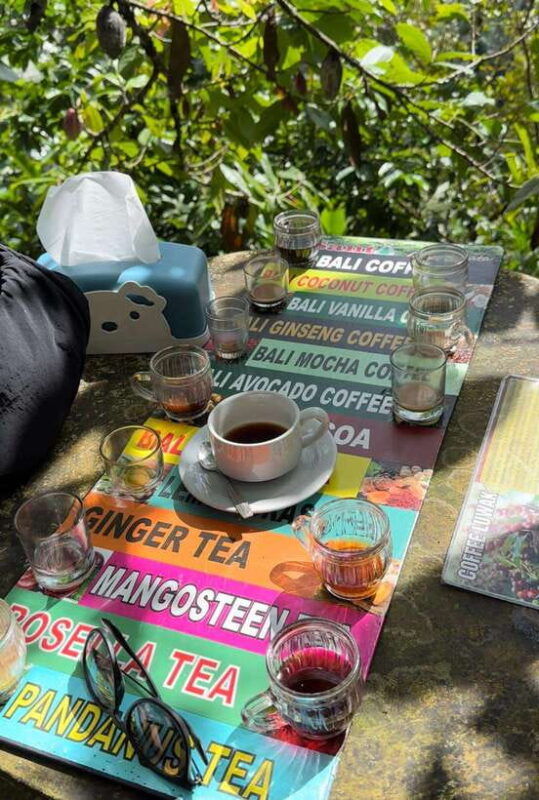 bali-all-inclusive-of-ubud-private-tour