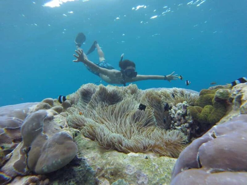 Bali: All-Inclusive Water Sports & Mangrove - What You Can Expect from the Bali Water Sports & Mangrove Tour