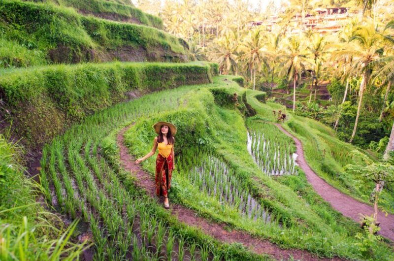 bali-aloha-ubud-swing-with-optional-day-trip-and-activities