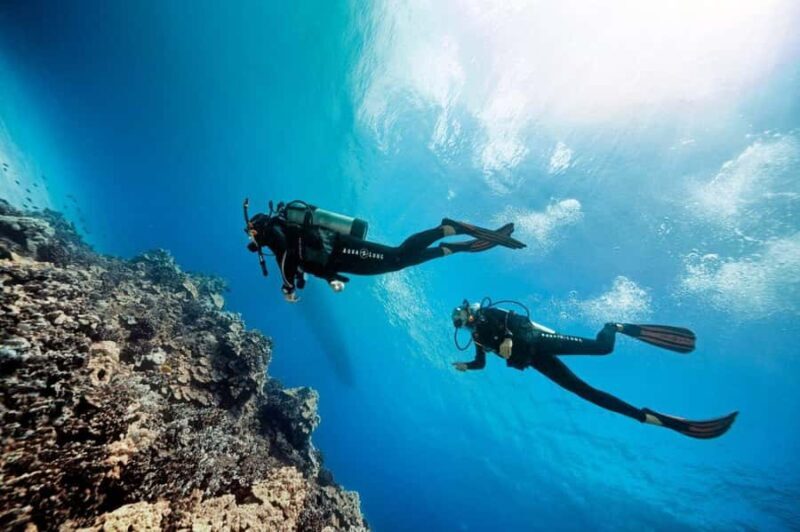 Bali/Amed: 2 Fun Dives for Certified Divers with Transfers - Who Should Consider This Tour?