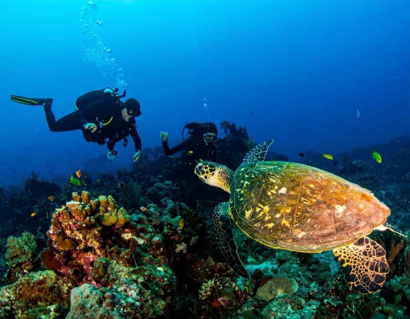 Bali, Amed: Deep Diver Speciality Course and Kayak Trip - Key Points