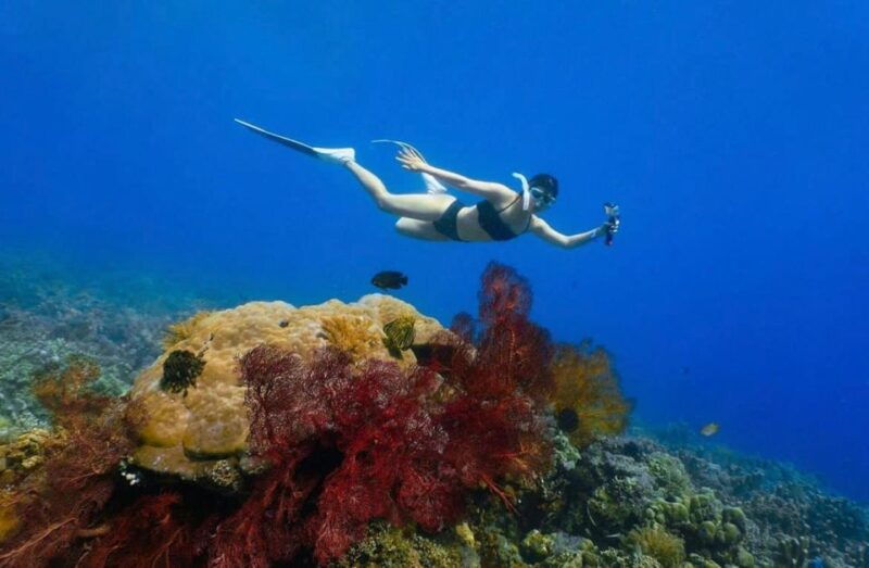 bali-amed-jemeluk-lipah-beach-snorkeling-adventure