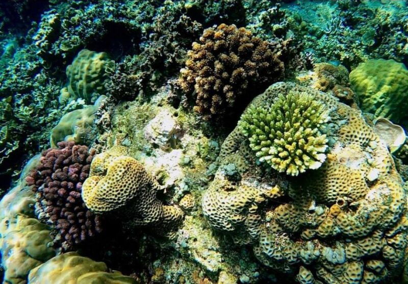 bali-amed-jemeluk-lipah-beach-snorkeling-adventure