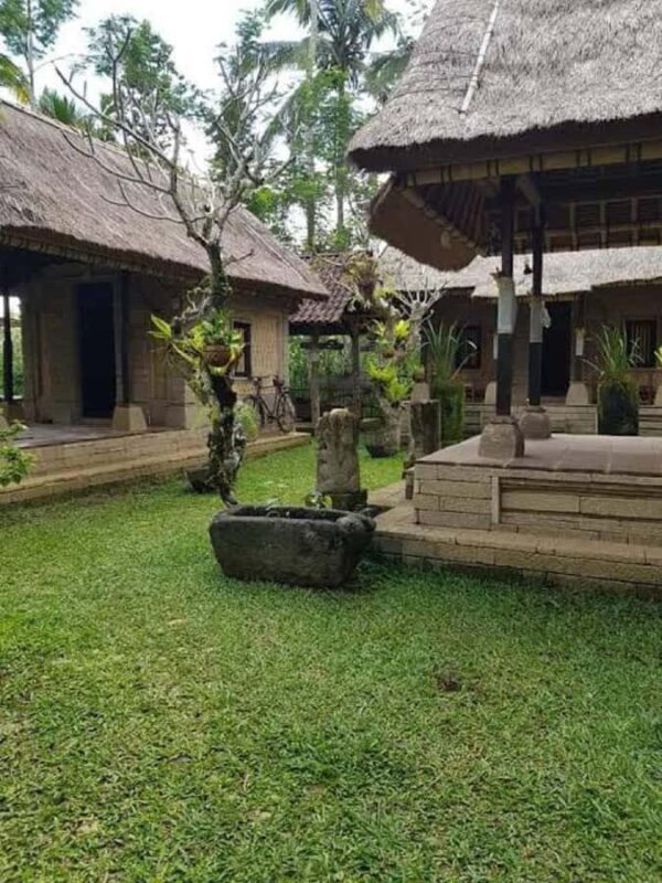 Bali: Ancient Balinese Houses and Mengening Temple Tour - Art Village and Cultural Experiences