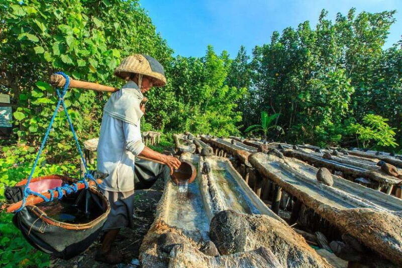 bali-ancient-village-tour-with-salt-factory-visit