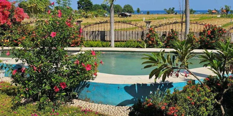 bali-aqua-healing-lovina-unique-body-experience