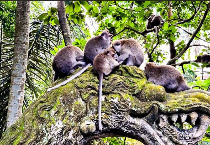 Bali: ATV, Coffee Plantation, Temple & Monkey Forest Tour - Exploring Bali: A Detailed Look at the Tour