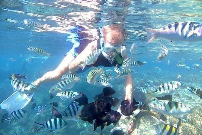 Bali ATV Quad Bike Adventure and Snorkeling Tour - The Sum Up