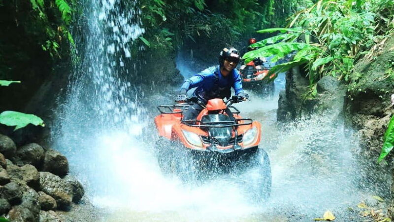 bali-atv-quad-bike-monkey-forest-jungle-swing-with-lunch