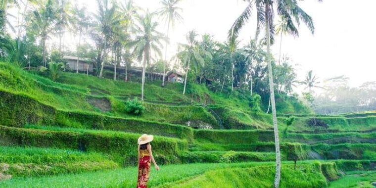 bali-atv-quad-bike-water-temple-and-rice-terrace