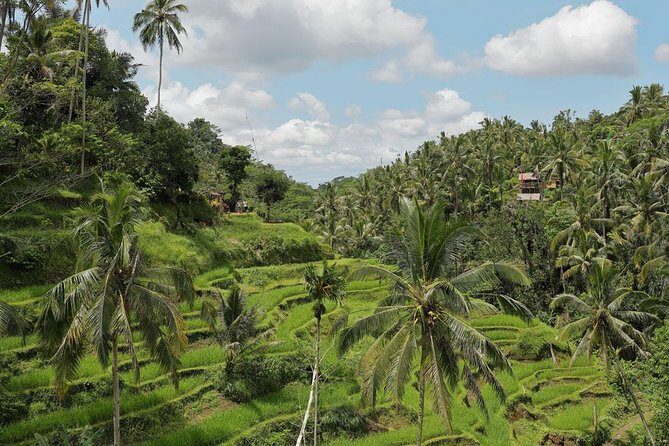 Bali ATV Quad Bike with Kintamani Volcano and Ubud Tour - The Sum Up: Is It Worth It?