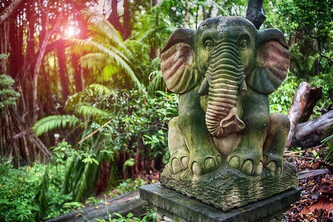 Bali ATV Quad Bike with Ubud Day Tour All Inclusive - Final Thoughts