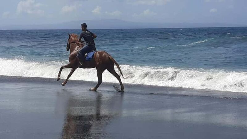 Bali: ATV Ride and Horse Riding Package with Lunch - Key Points