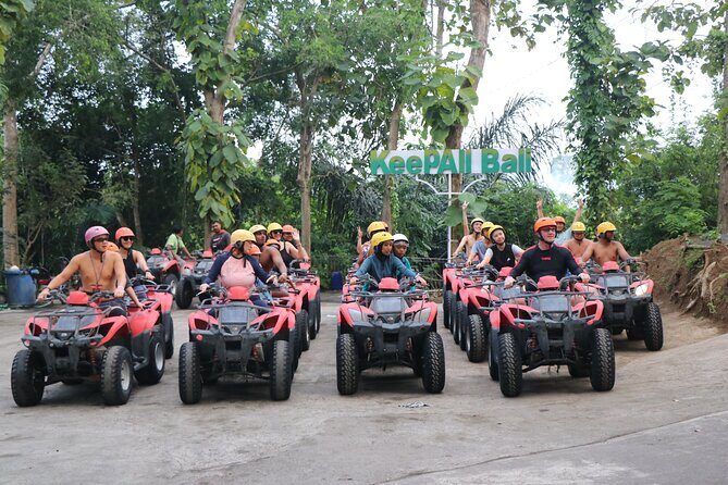 Bali ATV Ride Quad Bike Adventure - How the Reviews and Insights Add to the Experience