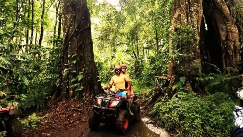 Bali: ATV Ride with Waterfall and Jungle Trails - An In-Depth Look at the Bali ATV Experience