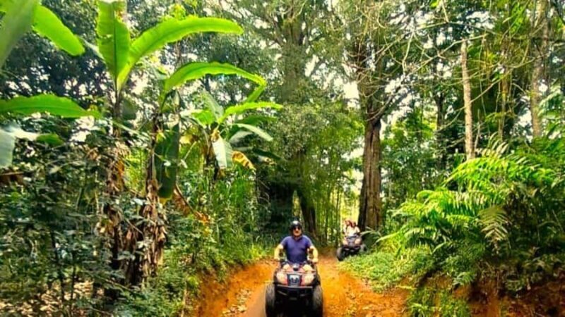 Bali: ATV Ride with Waterfall and Jungle Trails - Final Thoughts