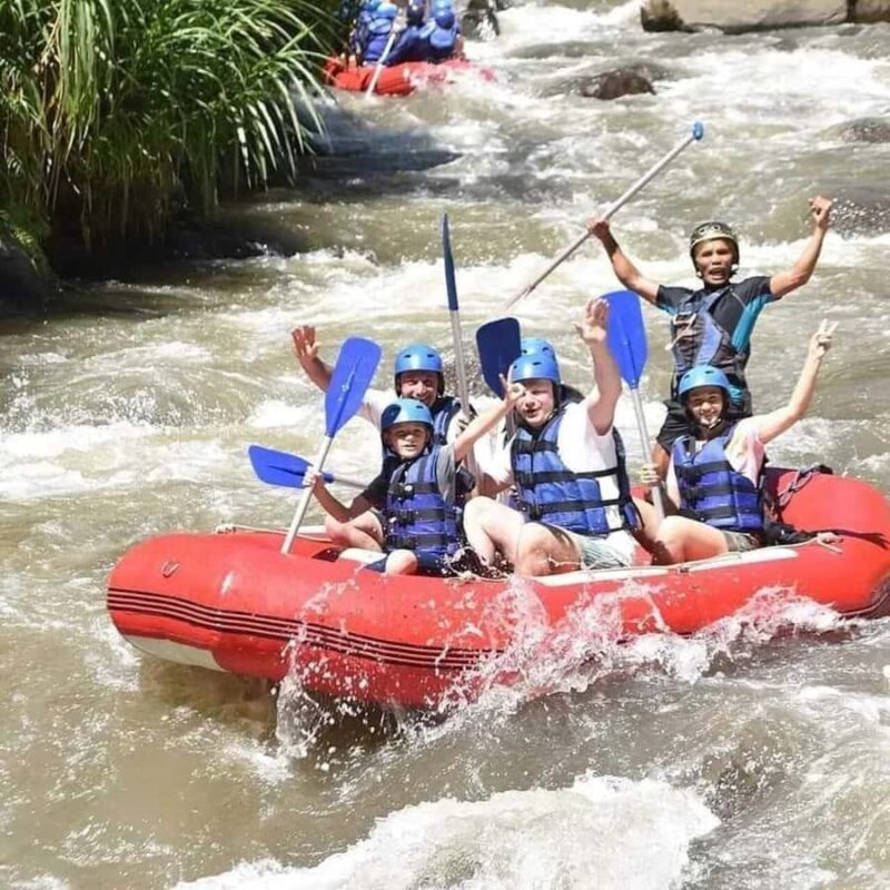 Bali: Ayung River Rafting with Gourmet Lunch - Key Points