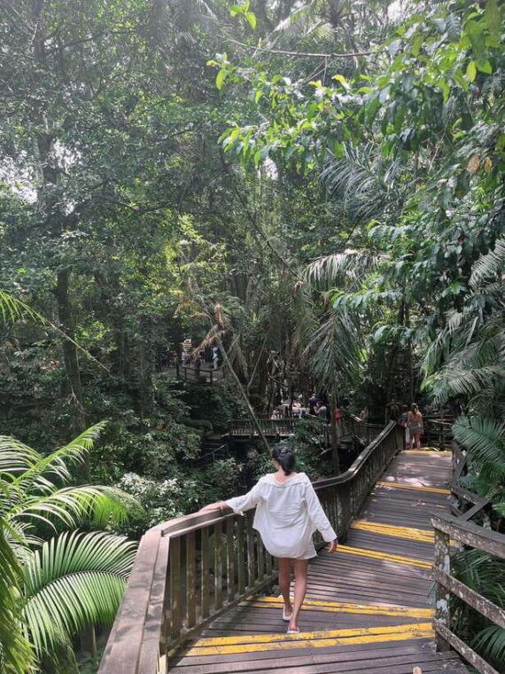 bali-ayung-river-rafting-with-ubud-tour-and-lunch