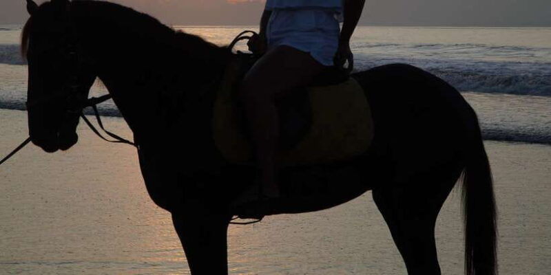 bali-bali-beach-horse-riding-experience
