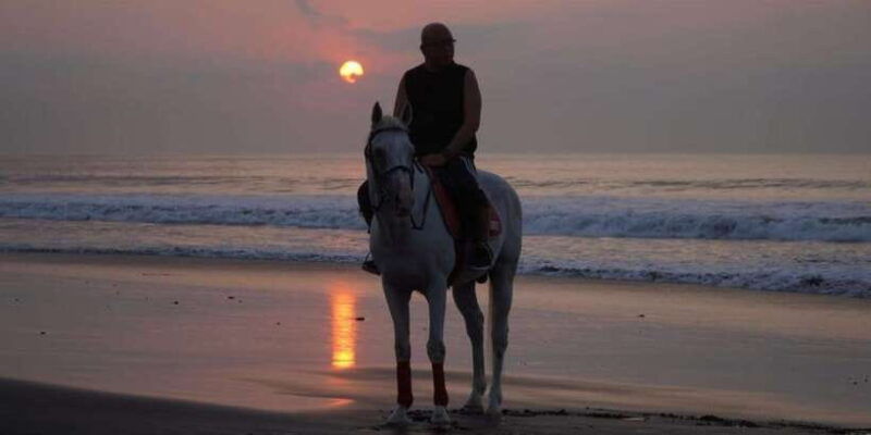 bali-bali-beach-horse-riding-experience
