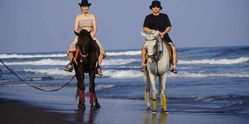 bali-bali-beach-horse-riding-experience