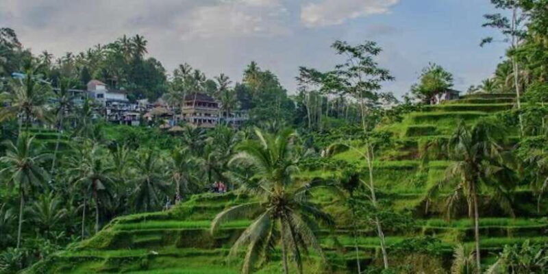 bali-bali-swing-monkey-forest-rice-terrace-waterfall