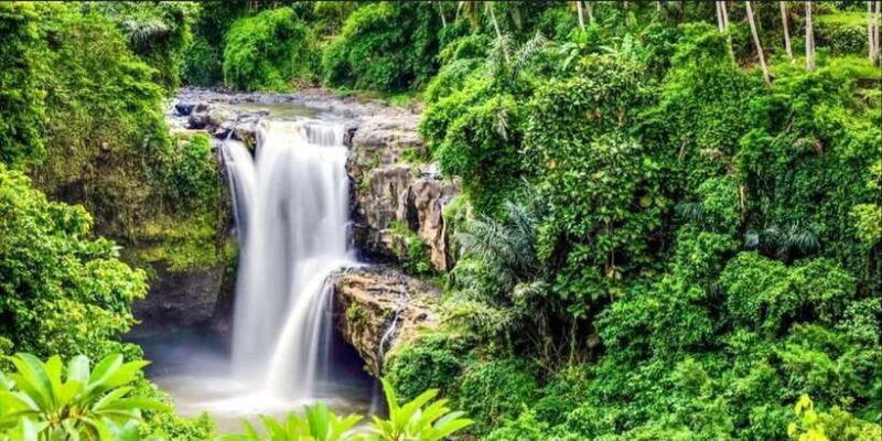 bali-bali-swing-monkey-forest-rice-terrace-waterfall