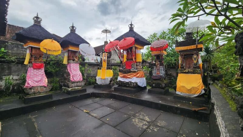 Bali: Balinese Divine Healing & Traditional nerve Therapy - Practical Details and Logistics