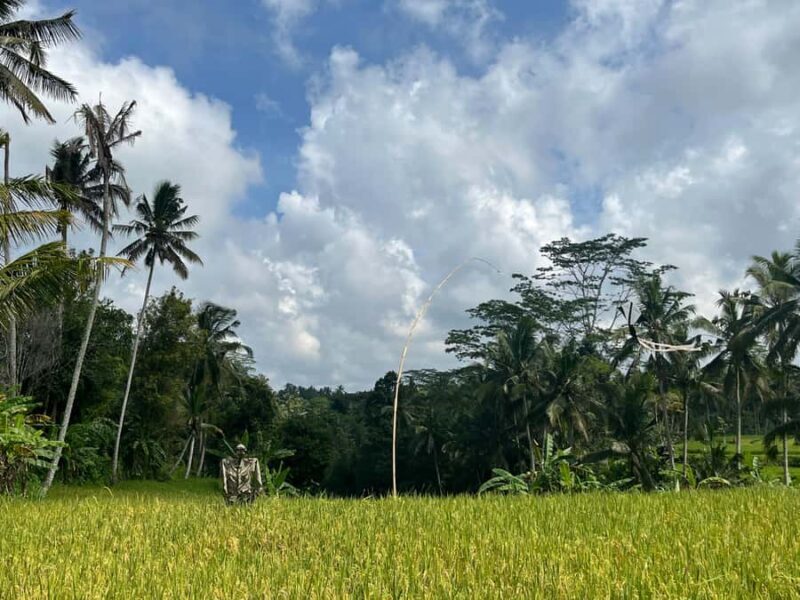 Bali: Balinese Purification Ritual & Herbal Tonics - What Makes This Experience Unique