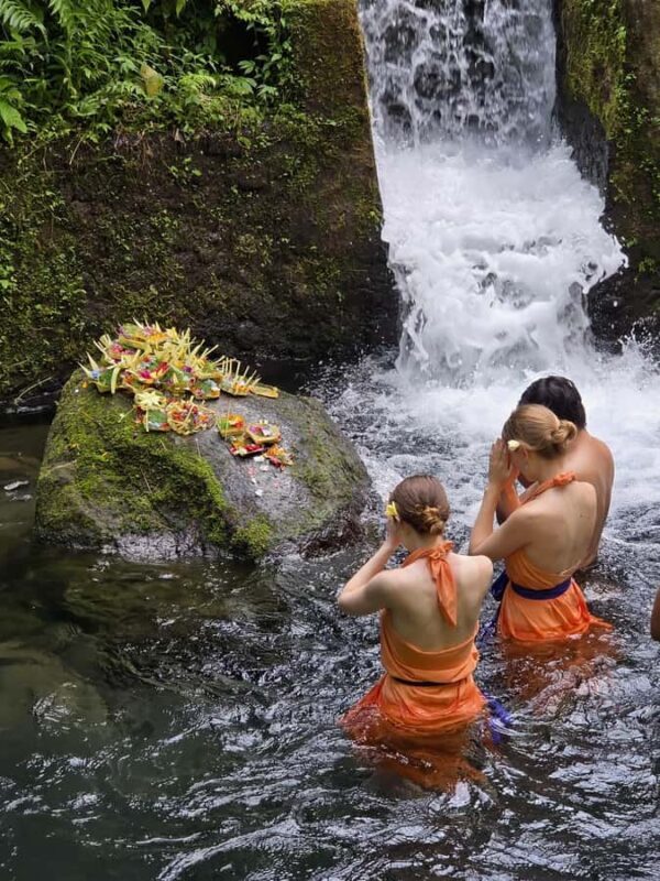 Bali: Balinese Purification Ritual & Herbal Tonics - Authenticity and Cultural Connection