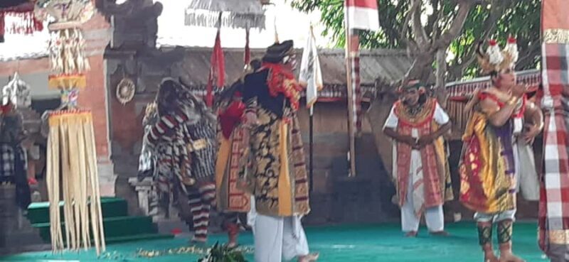 Bali: Barong Dance and Purification Holy Water Temple Tour - Who Should Consider This Tour?