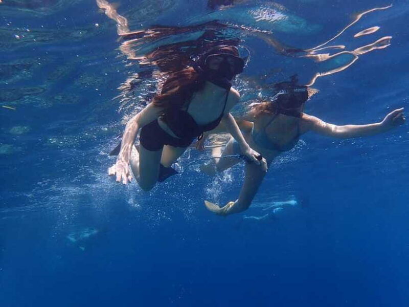 bali-basic-snorkeling-at-menjangan-island
